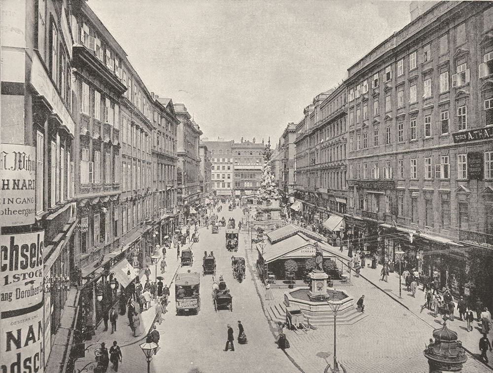 AUSTRIA. Vienna- The Graben 1895 old antique vintage print picture